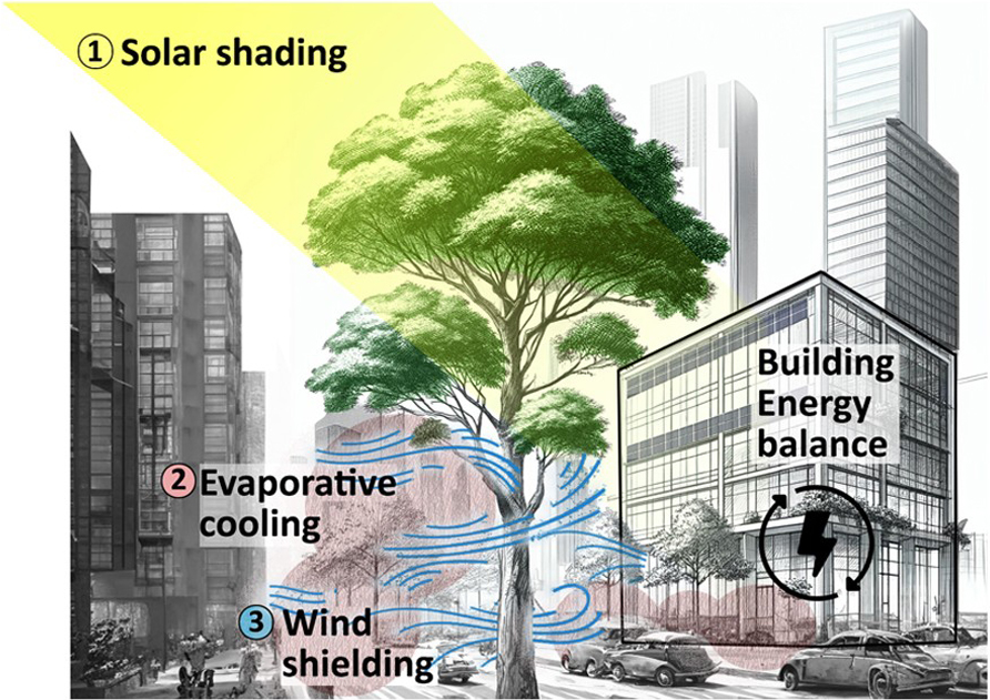 Nature based solutions (NbS) integration  | into regenerative design workflows from the building to the city 