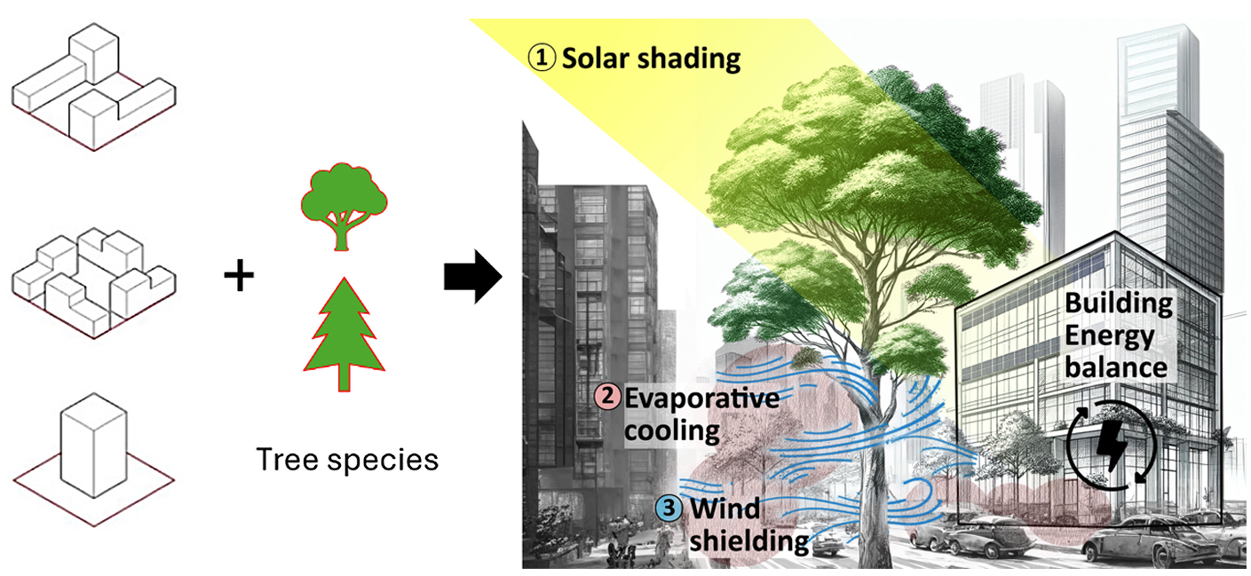 Nature based solutions (NbS) integration  | into regenerative design workflows from the building to the city 